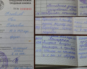 Трудовая книжка печника