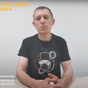 Профессиональная консультация печника.